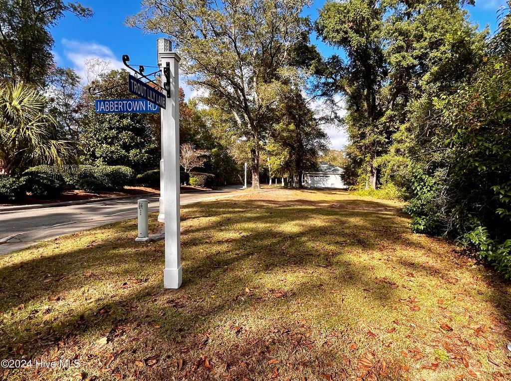 Photo of 538 Jabbertown Road, Southport, NC 28461 (MLS # 100476158)