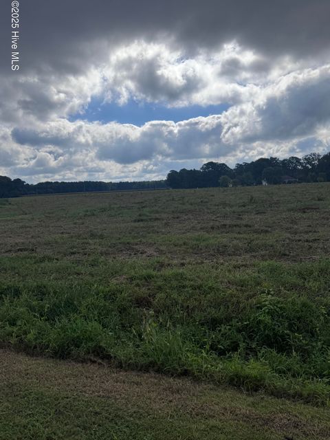 Vacant Land For Sale - Fulton Avenue<br/> Bath, NC 27808