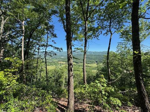 Vacant Land For Sale - 00 Coalville Road<br/> Marble, NC 28901