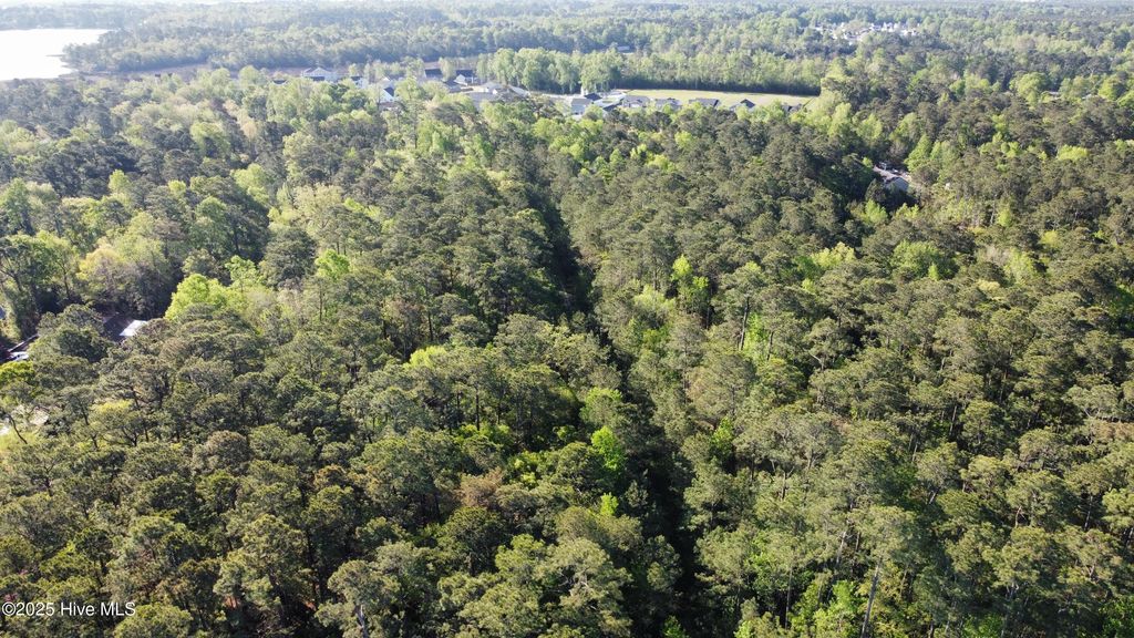 Photo of Tbd Wood Creek Drive, Hubert, NC 28539 (MLS # 100502338)
