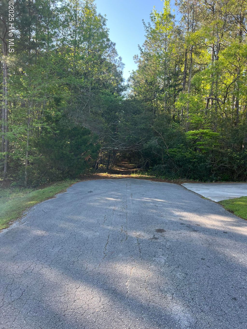 Photo of Tbd Wood Creek Drive, Hubert, NC 28539 (MLS # 100502338)