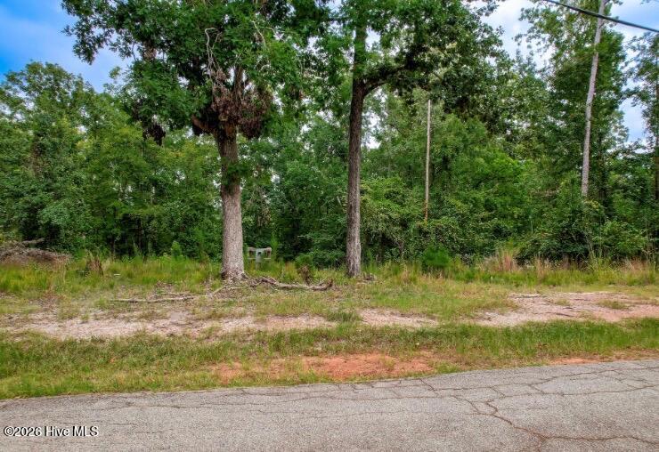Photo of 7329 Lakeside Drive, Appling, GA 30802 (MLS # 100600101)
