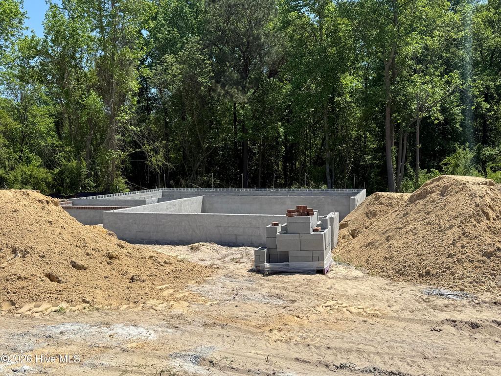 Photo of 505 Romney Drive, Beulaville, NC 28518 (MLS # 100568113)