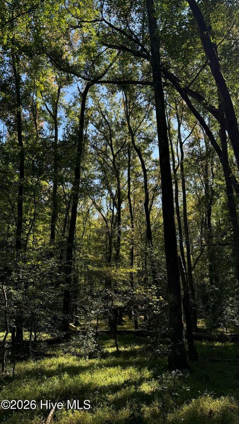 Vacant Land For Sale - Union Church Road<br/> Cameron, NC 28326