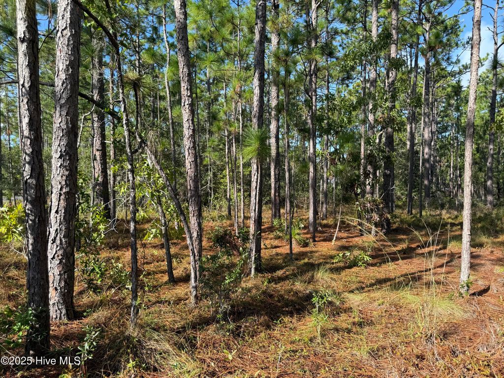 Photo of 585 Westwood Road, Southport, NC 28461 (MLS # 100537003)