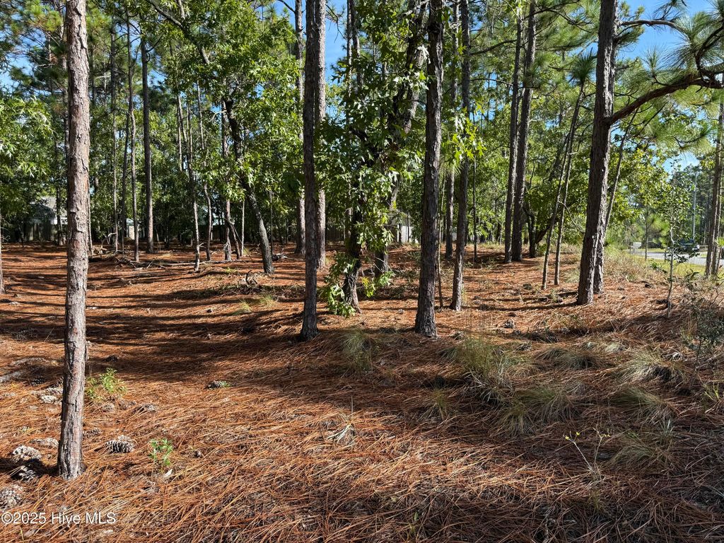 Photo of 585 Westwood Road, Southport, NC 28461 (MLS # 100537003)