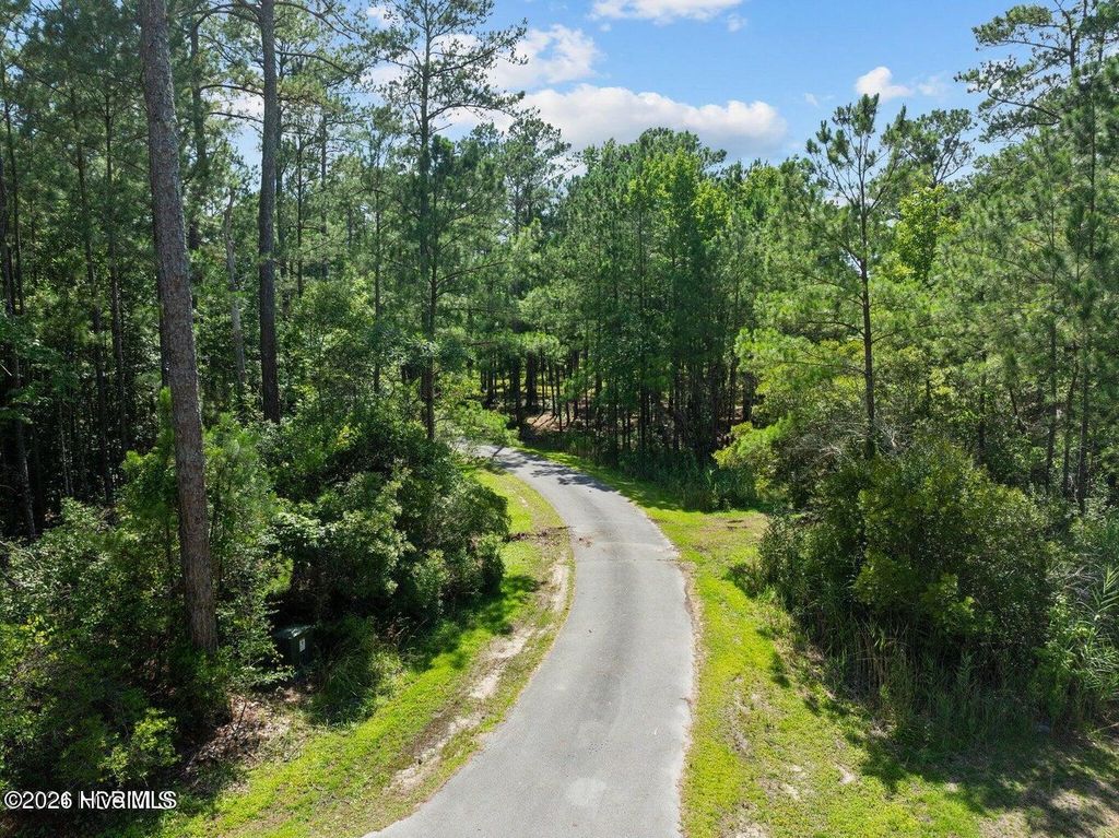 Photo of 2570 Brown Creek Road, Merritt, NC 28556 (MLS # 100574744)