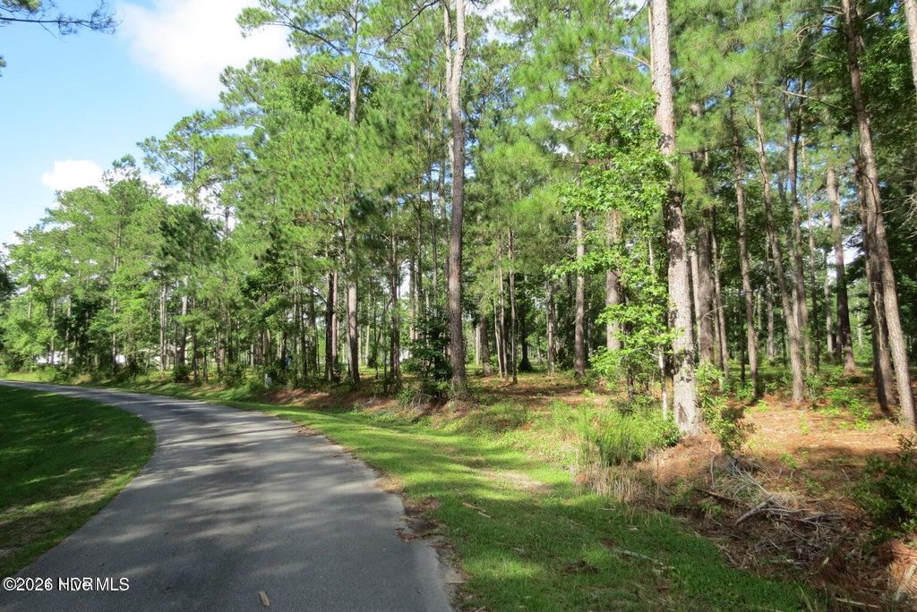 Photo of 2570 Brown Creek Road, Merritt, NC 28556 (MLS # 100574744)