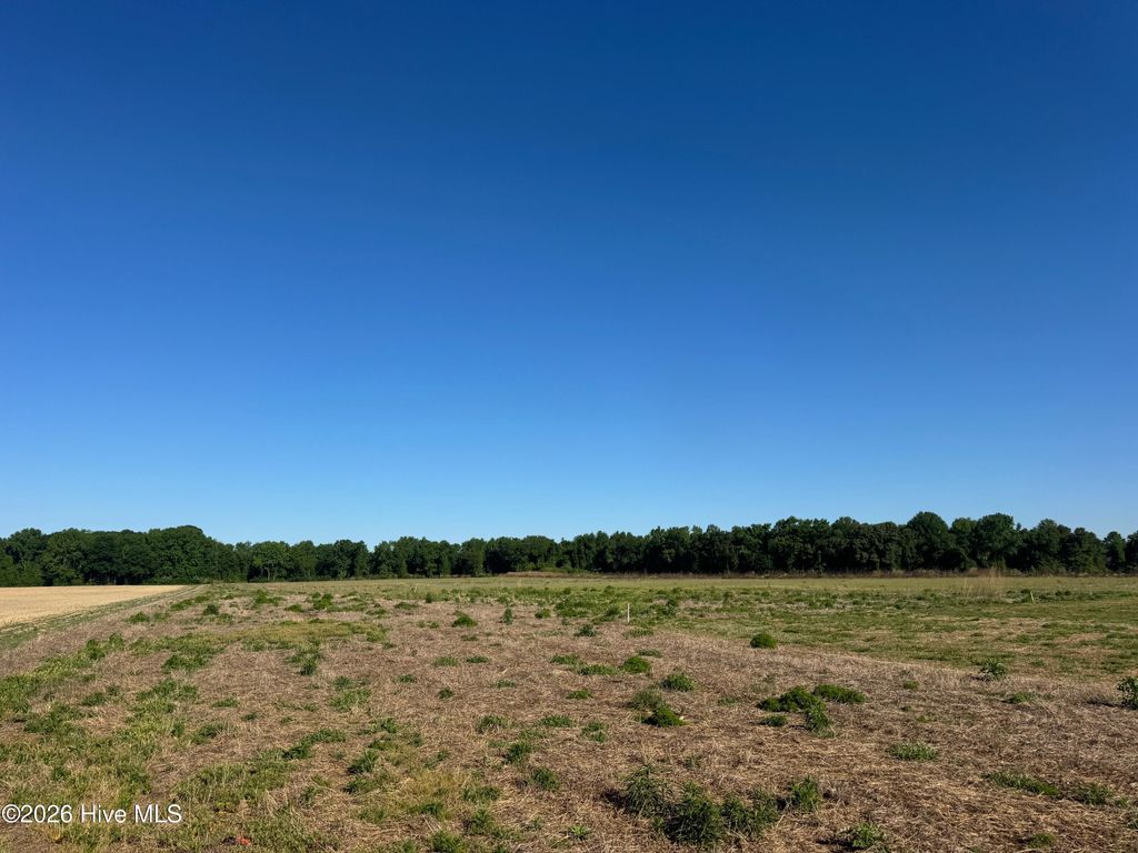 Photo of 0 Thompson Avenue, Turkey, NC 28393 (MLS # 100568390)