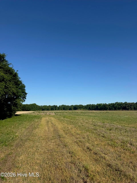 Vacant Land For Sale - Thompson Avenue<br/> Turkey, NC 28393