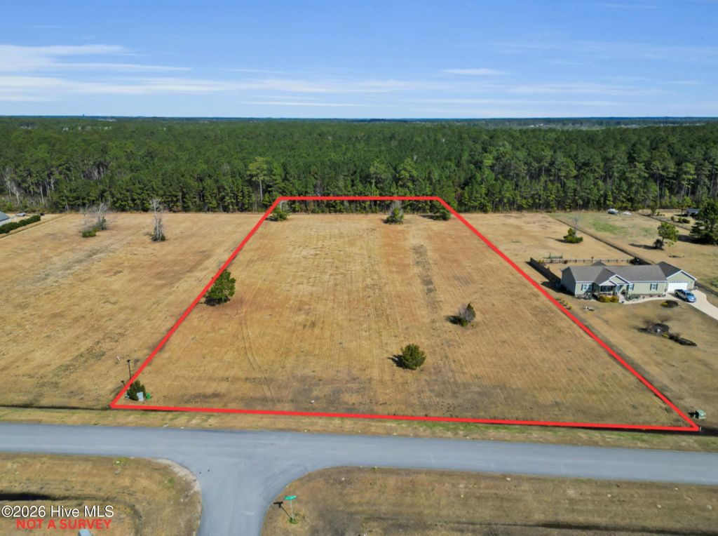 Photo of 201 Mayflower Drive, Newport, NC 28570 (MLS # 100559187)