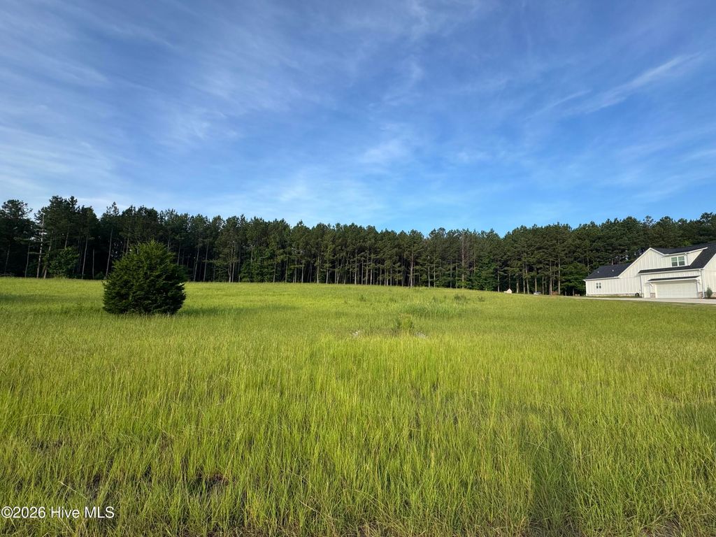 Photo of 415 Arthur Grimaud Way, Appling, GA 30802 (MLS # 100586889)