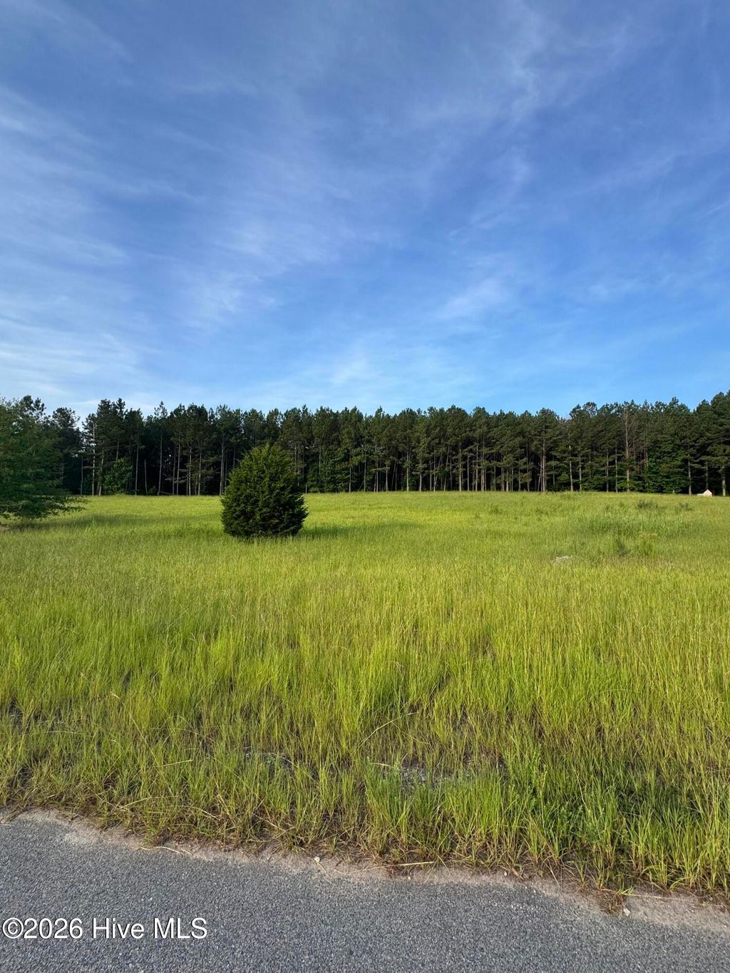 Photo of 415 Arthur Grimaud Way, Appling, GA 30802 (MLS # 100586889)