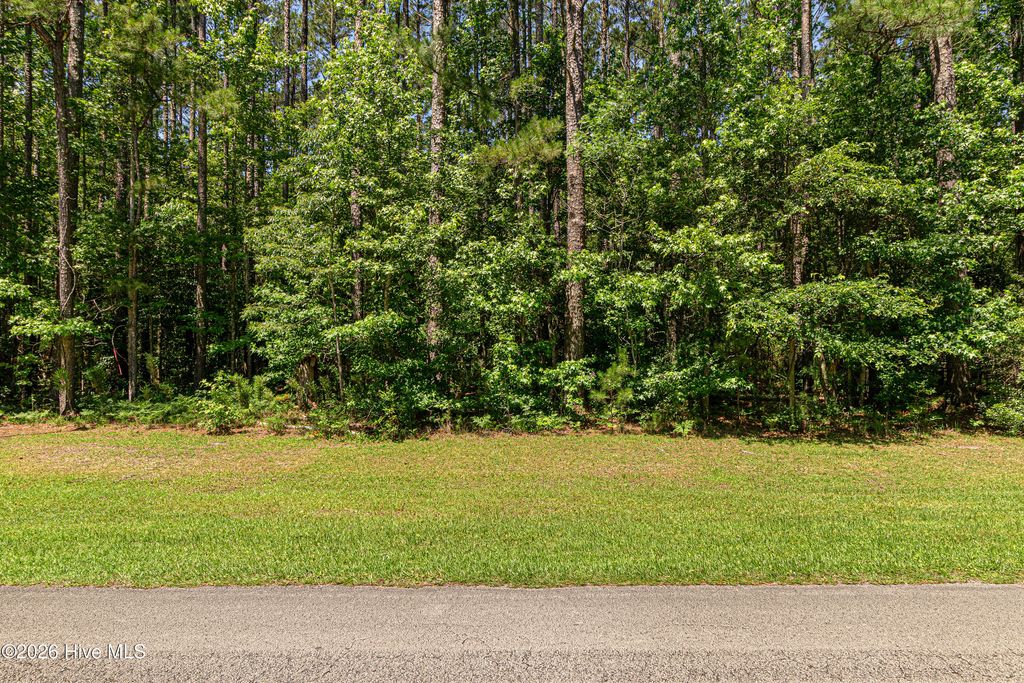 Photo of 313 Antebellum Drive, Havelock, NC 28532 (MLS # 100580495)