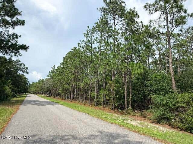 Photo of 2627 Eden Drive, Boiling Spring Lakes, NC 28461 (MLS # 100595268)