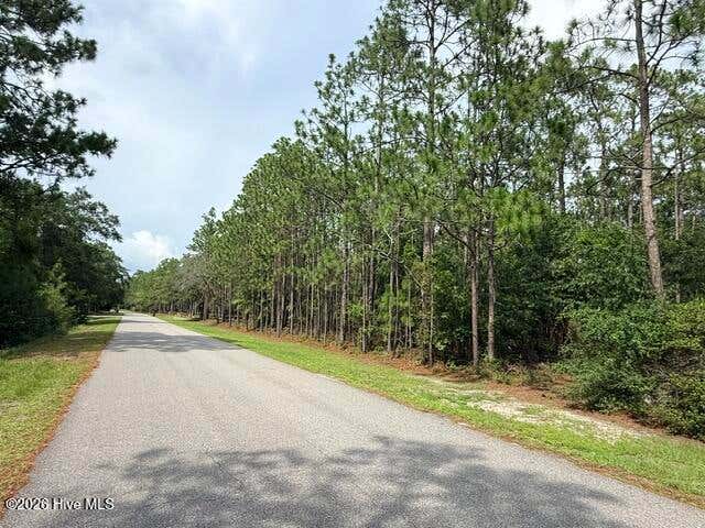 Photo of 2627 Eden Drive, Boiling Spring Lakes, NC 28461 (MLS # 100595268)