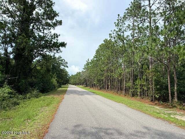 Photo of 2627 Eden Drive, Boiling Spring Lakes, NC 28461 (MLS # 100595268)