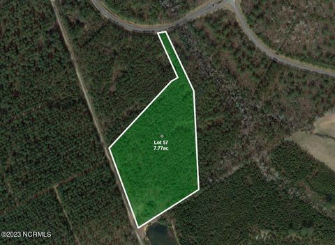 57 Eagle Nest Trail Blounts Creek NC 27814