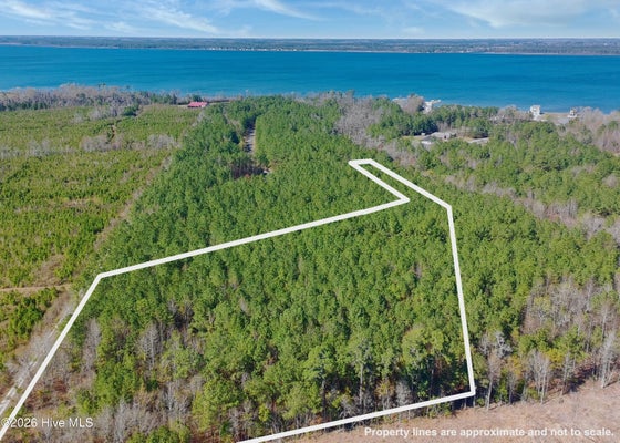 57 E EAGLE VIEW LN, BLOUNTS CREEK, NC 27814 - Image 7ea34d04751f7b443aa24154fe1dce12/783409760
