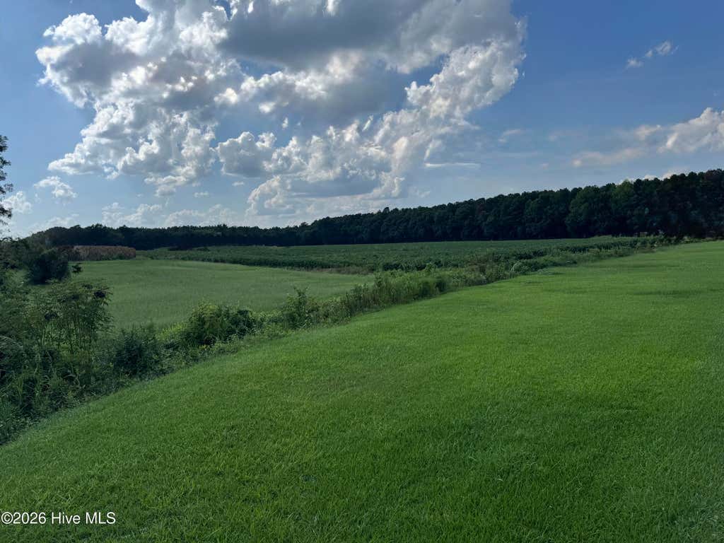 Photo of 252 Haw Branch Road, Richlands, NC 28574 (MLS # 100597343)