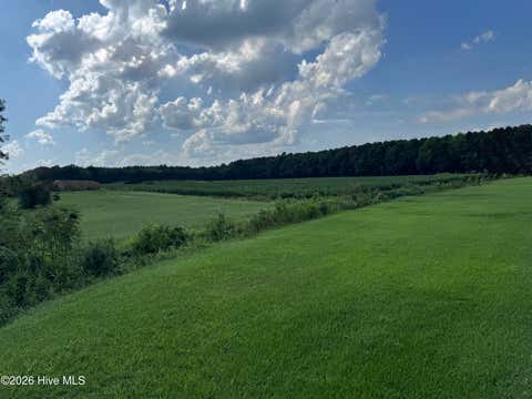 Tiny photo for 252 Haw Branch Road, Richlands, NC 28574 (MLS # 100597343)