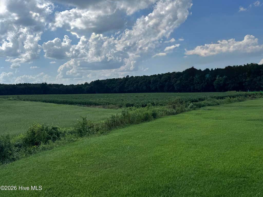 Photo of 252 Haw Branch Road, Richlands, NC 28574 (MLS # 100597343)