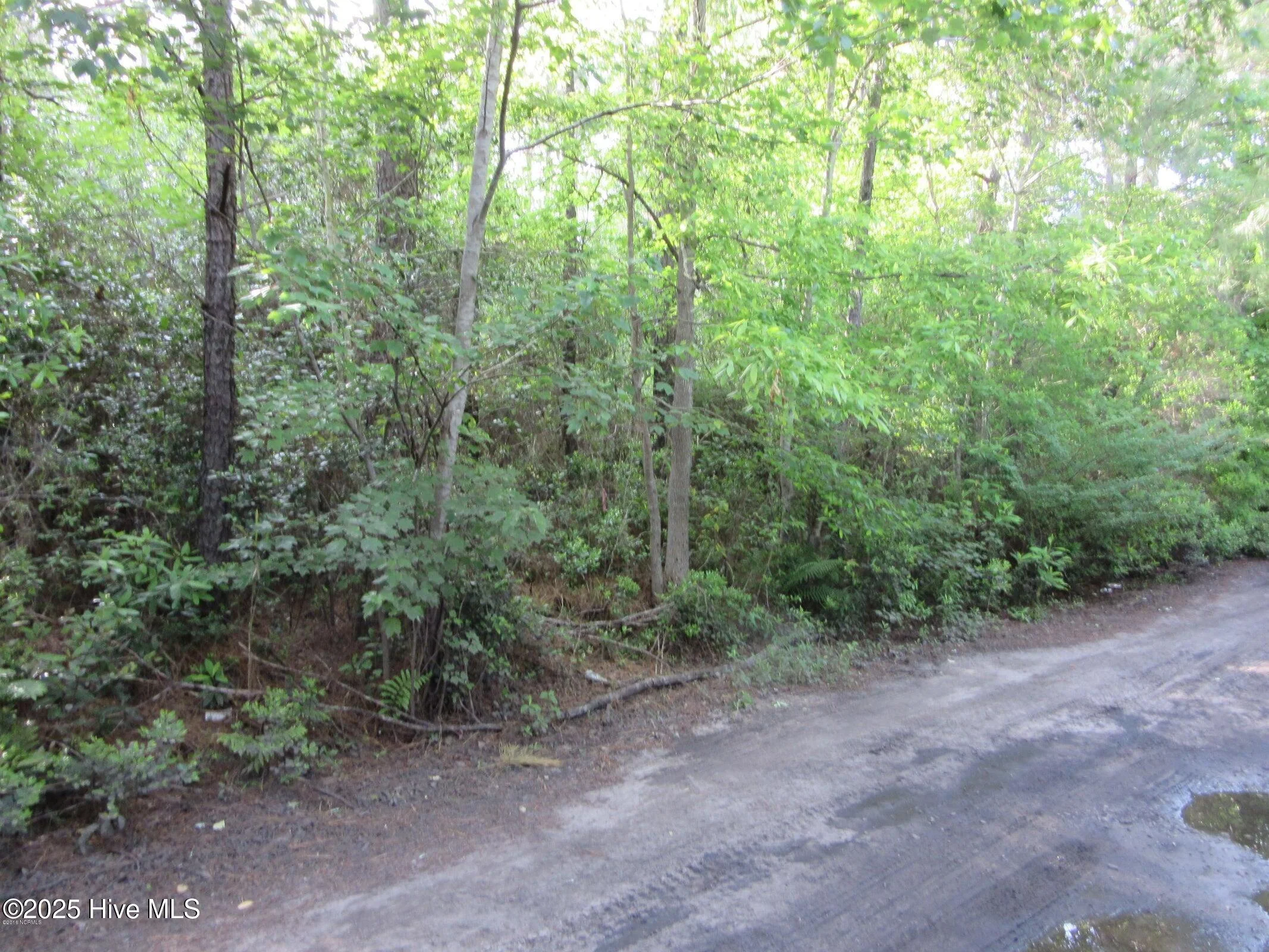 1253 Crooked Pine Road