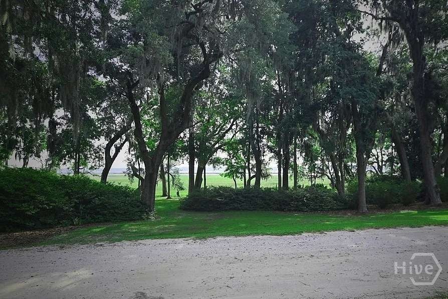 Photo of 0 Brigantine Dunmore Road, Sunbury, GA 31320 (MLS # SA367319)