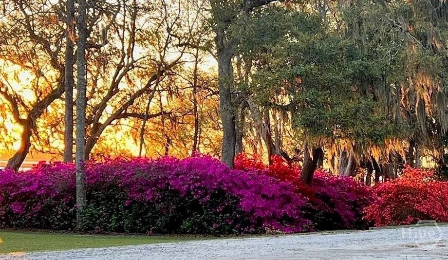 Photo of 0 Brigantine Dunmore Road, Sunbury, GA 31320 (MLS # SA367319)