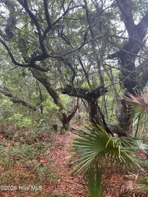 Tiny photo for 8 Leopard Frog Court, Bald Head Island, NC 28461 (MLS # 100583143)