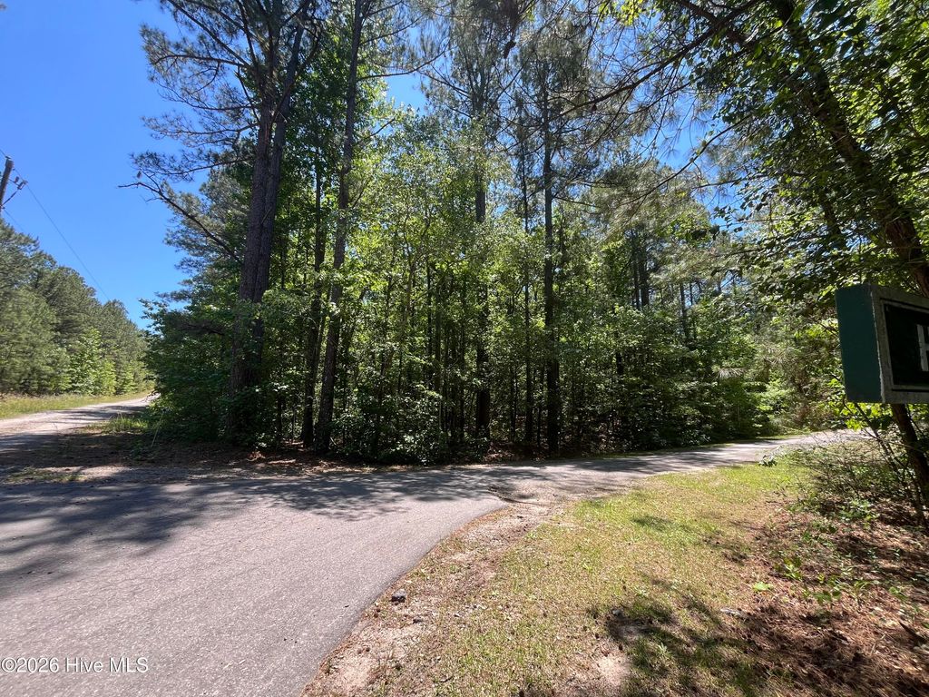 Photo of 849 Hawthorne Drive, Vass, NC 28394 (MLS # 100576052)
