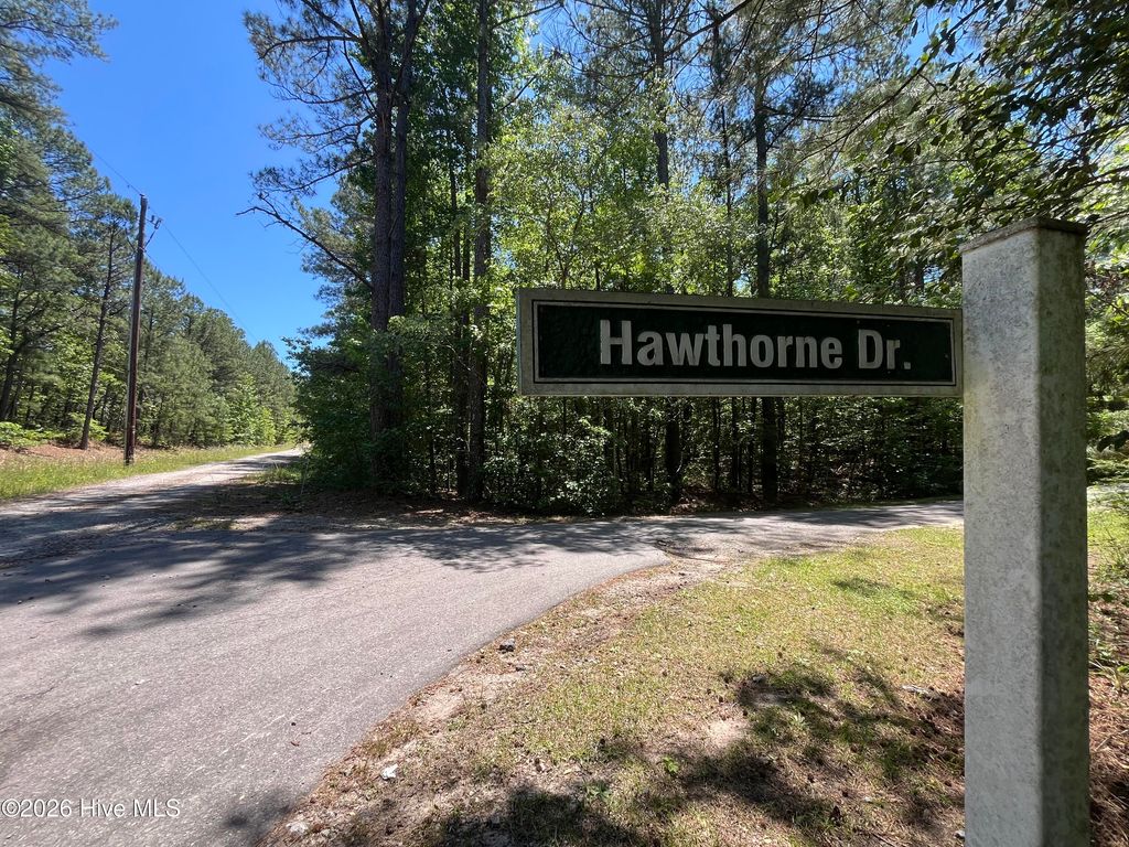 Photo of 849 Hawthorne Drive, Vass, NC 28394 (MLS # 100576052)