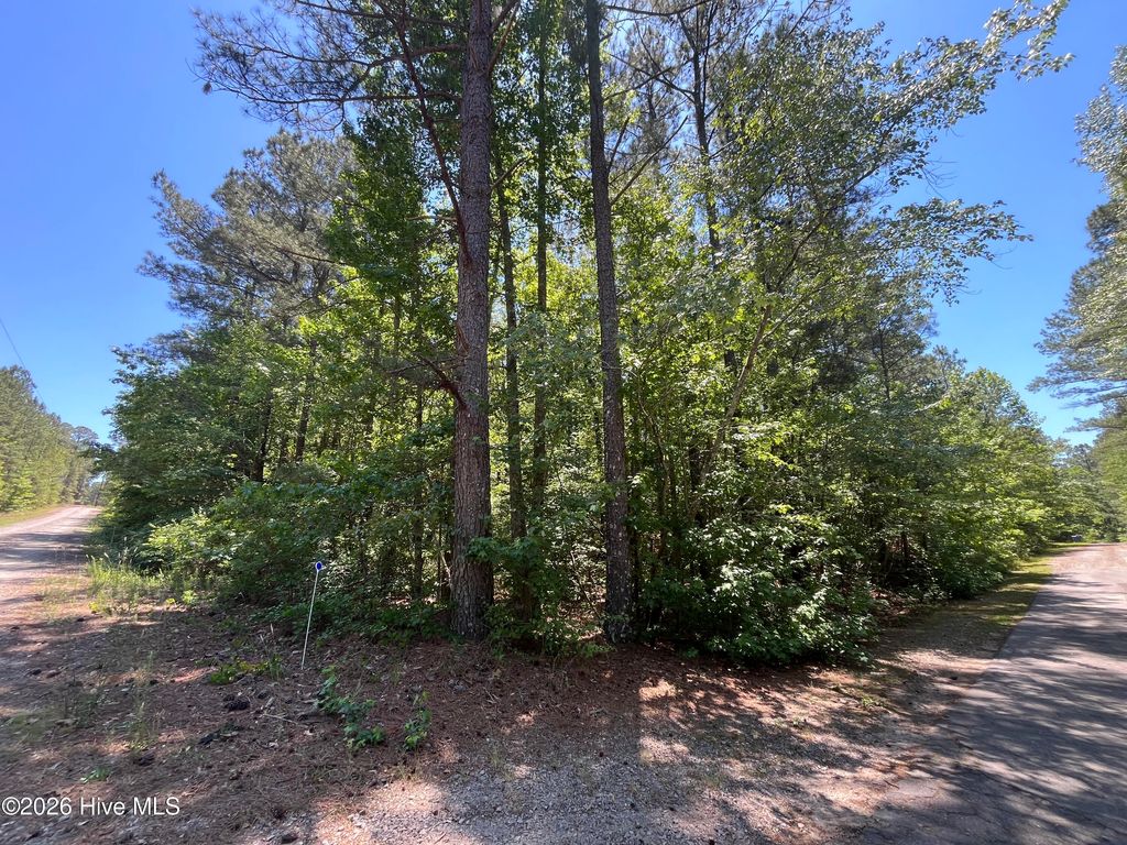 Photo of 849 Hawthorne Drive, Vass, NC 28394 (MLS # 100576052)