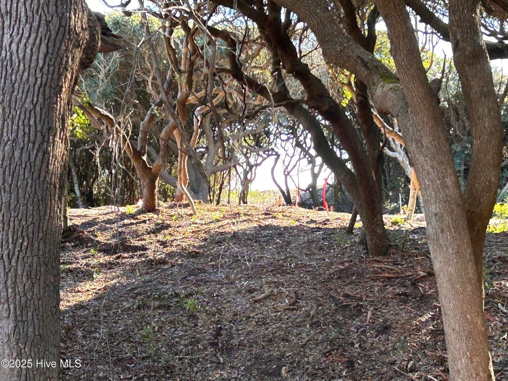 Photo of 103 Roosevelt Reserve Park Place Dr, Pine Knoll Shores, NC 28512 (MLS # 100545361)