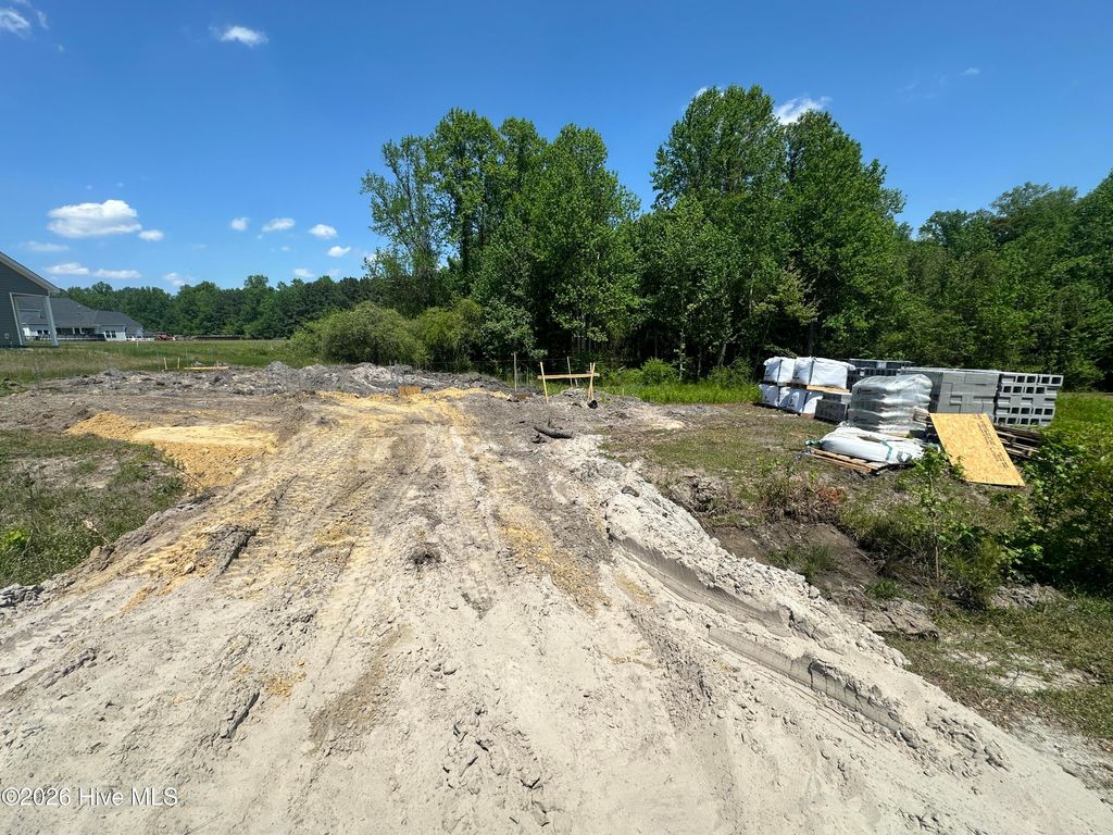 Photo of 131 Dallas Drive, Beulaville, NC 28518 (MLS # 100570837)