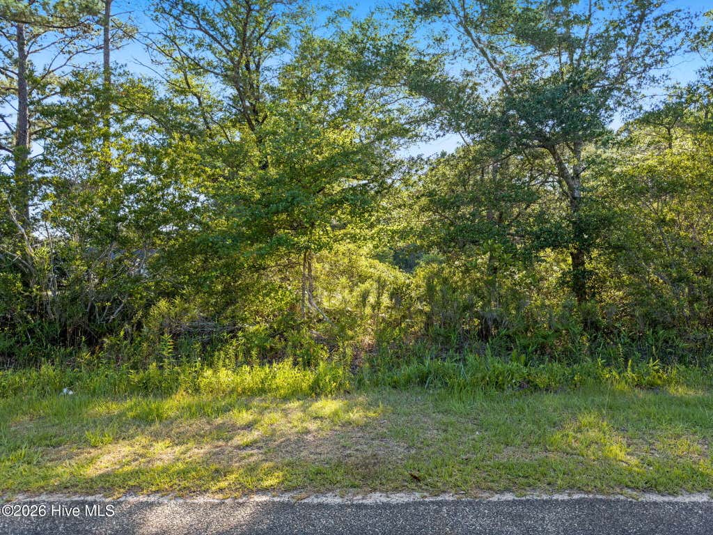 Photo of 2675 Nags Head Road SW, Supply, NC 28462 (MLS # 100580950)