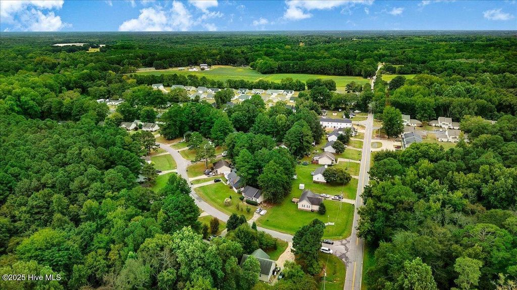 Photo of 158 Creekside Drive, Four Oaks, NC 27524 (MLS # 100532793)