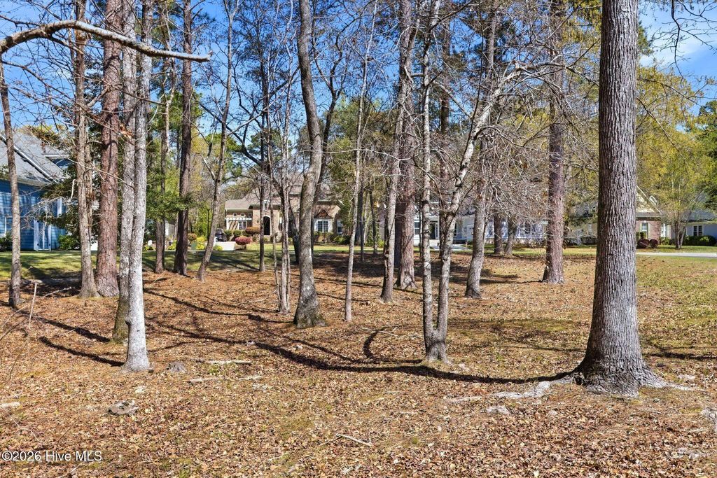Photo of 75 Plantation Passage Drive SE, Bolivia, NC 28422 (MLS # 100581632)