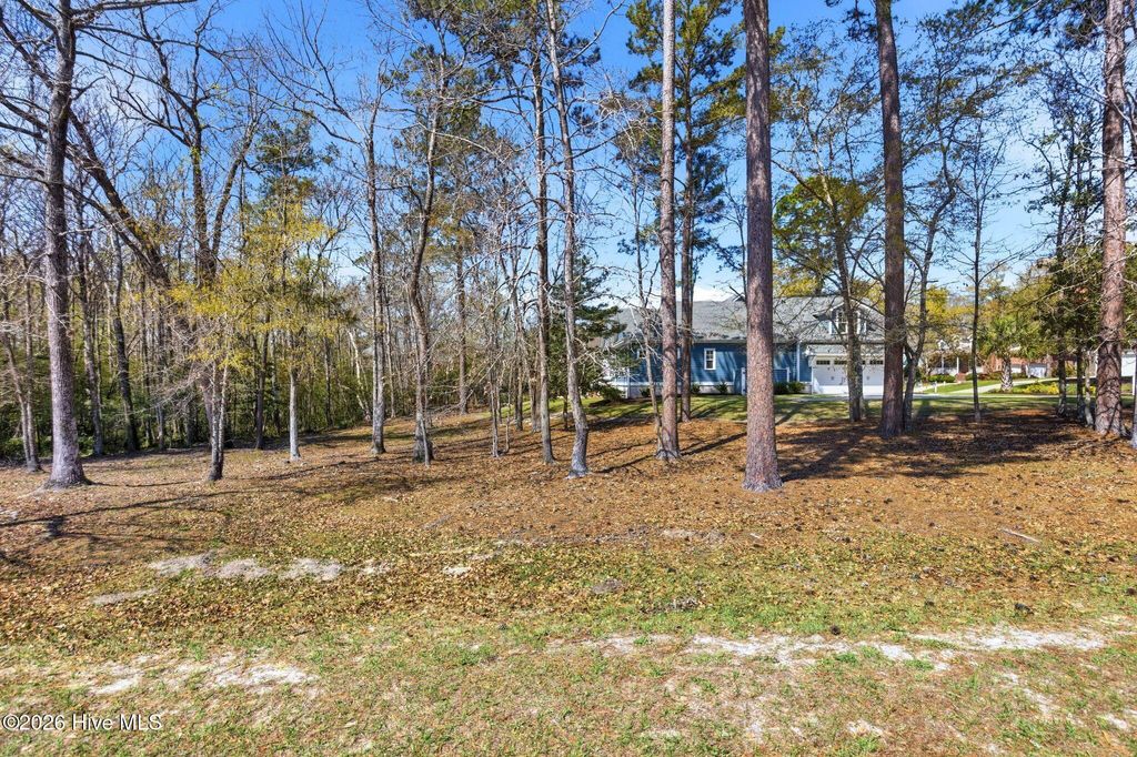Photo of 75 Plantation Passage Drive SE, Bolivia, NC 28422 (MLS # 100581632)
