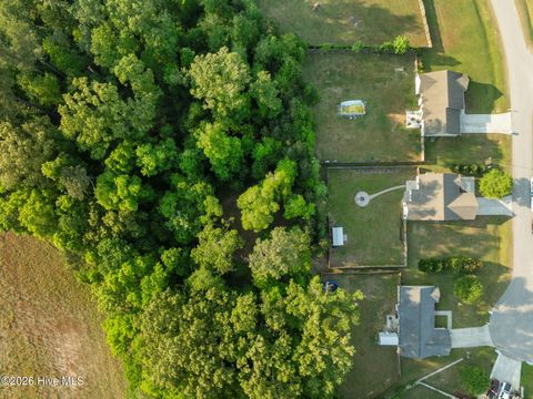 Tiny photo for 112 Hidden Hollow Drive, Richlands, NC 28574 (MLS # 100573618)