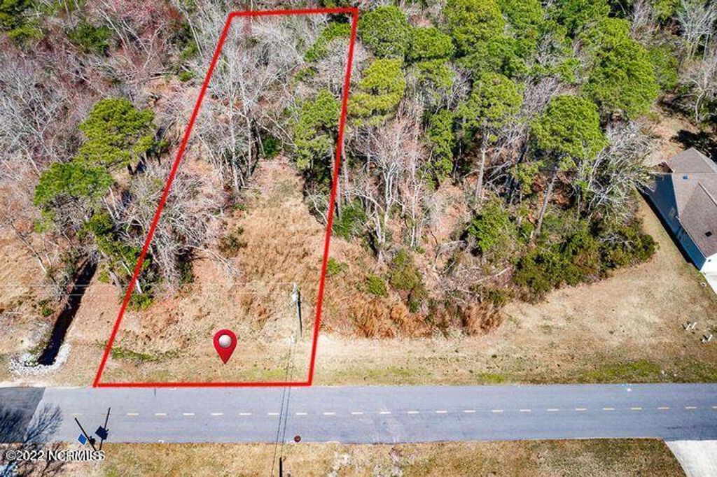 Photo of 2036 Caracara Drive, New Bern, NC 28560 (MLS # 100421479)