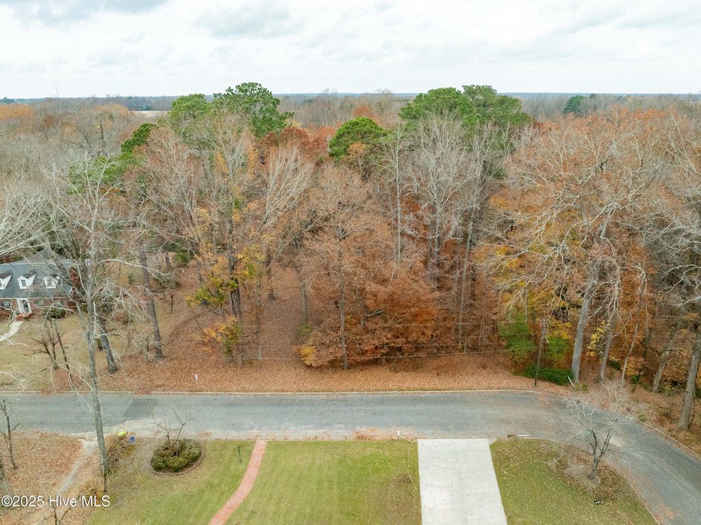 Photo of 203 W Woodlawn Drive, Williamston, NC 27892 (MLS # 100547251)