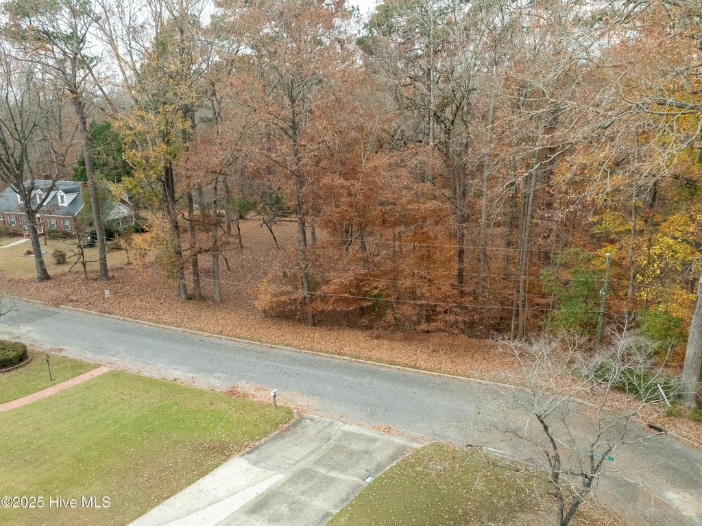 Photo of 203 W Woodlawn Drive, Williamston, NC 27892 (MLS # 100547251)