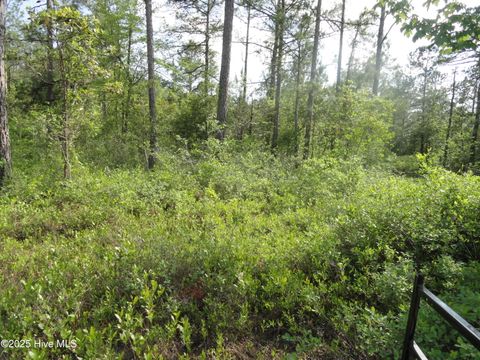 2 River Trail Burgaw NC 28425