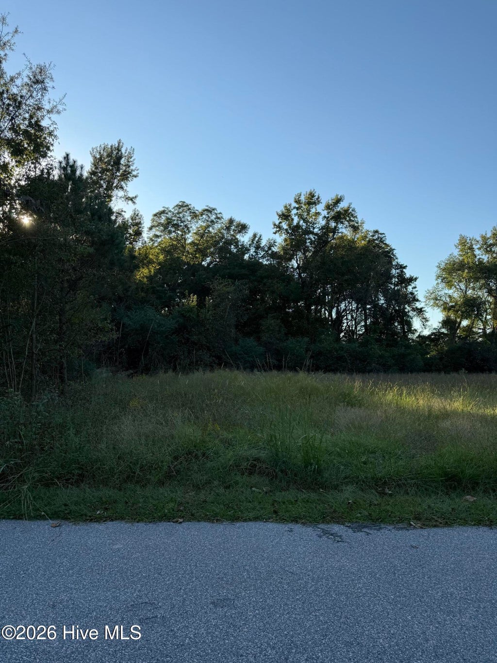 Photo of 0 W College Street, Ayden, NC 28513 (MLS # 100610383)