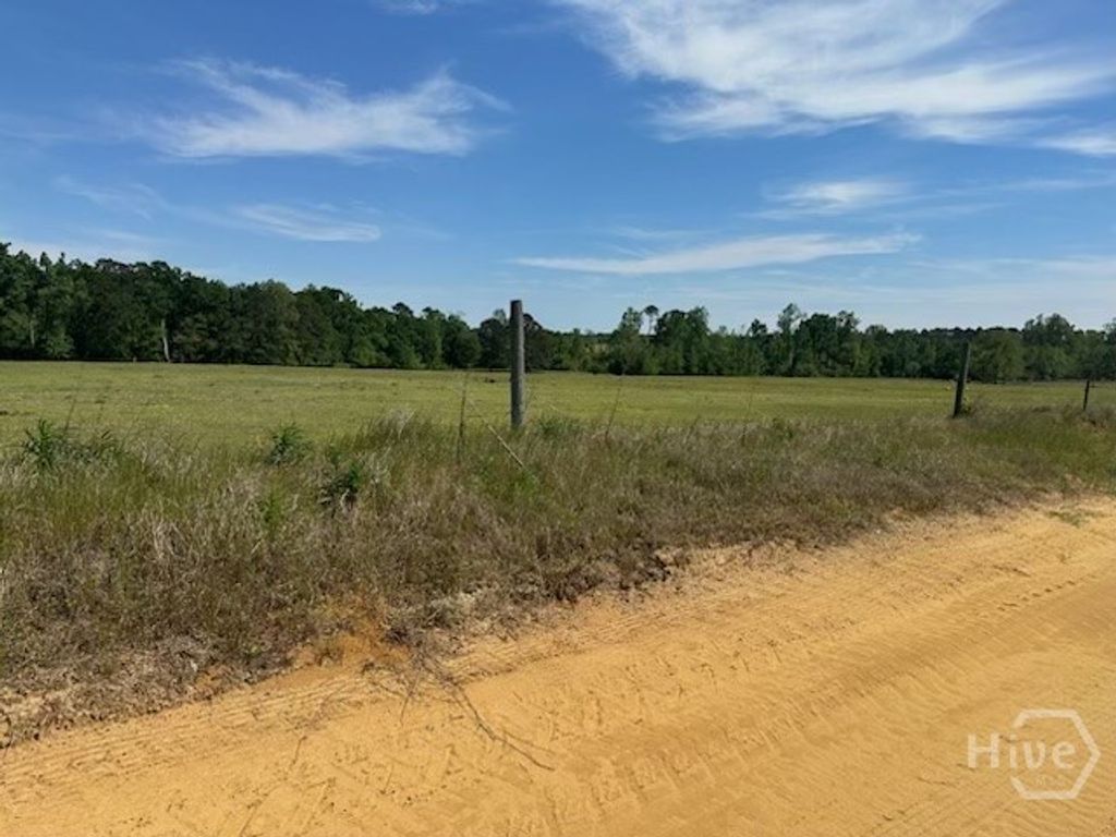 Photo of 2905 Donald Cobb Road, Bartow, GA 30413 (MLS # SA353217)