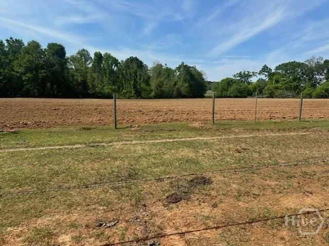 2905 Donald Cobb Road, Bartow, GA, 30413