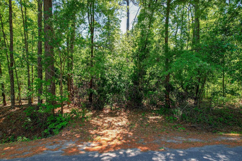 Photo of 6340 Browns Road, Harlem, GA 30814 (MLS # 555616)