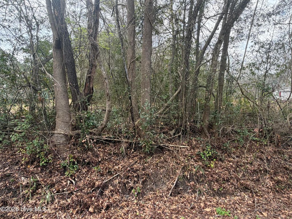 Photo of 0000 Green Loop Road NE, Leland, NC 28451 (MLS # 100569975)