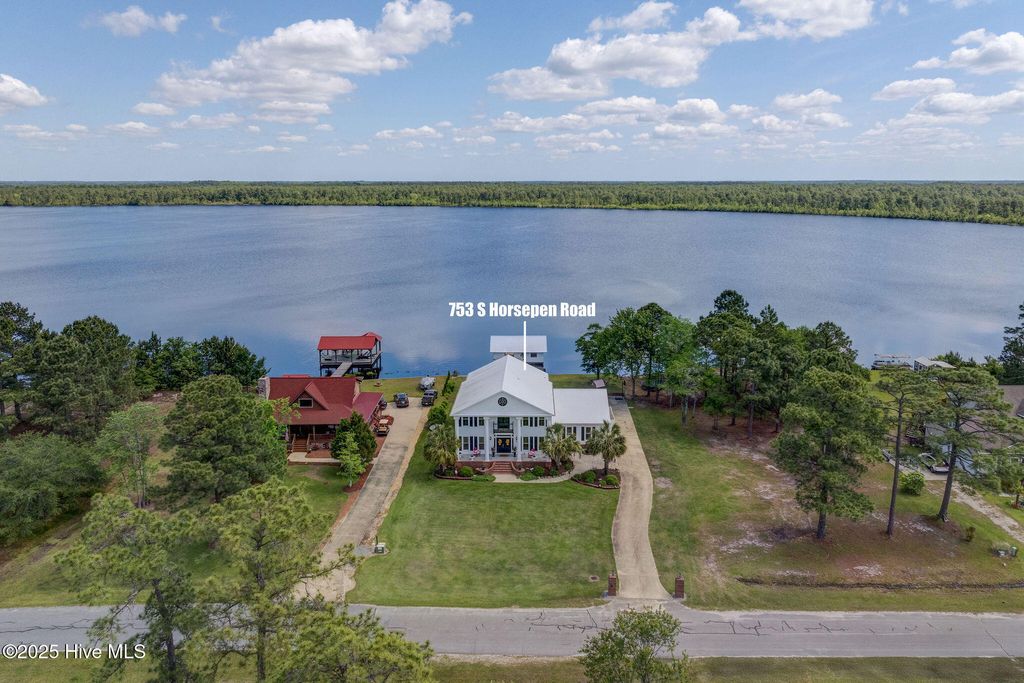 Photo of 753 S Horsepen Drive, Harrells, NC 28444 (MLS # 100558809)